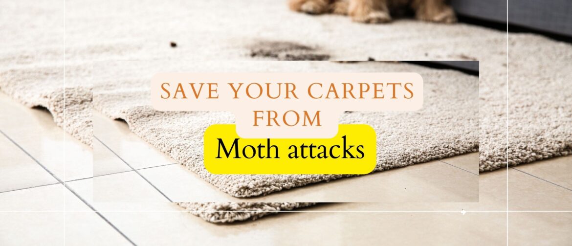 Protect your carpet
