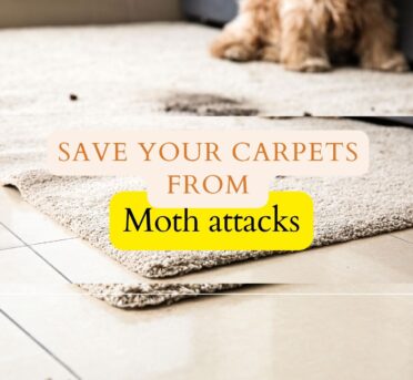 Protect your carpet